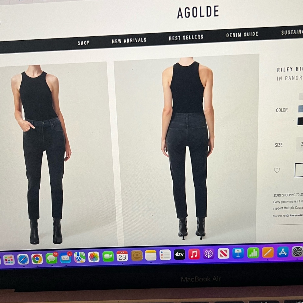 AGOLDE RILEY HIGH RISE STRAIGHT CROP (STRETCH) IN PANORAMIC